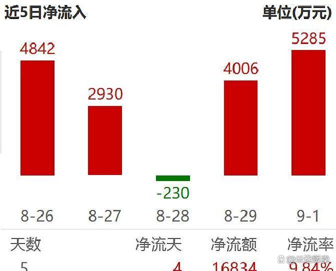 上市板块定位风险(上市各种板块什么意思?)泸水市